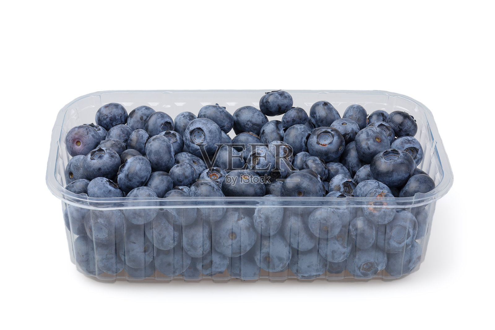白色背景上孤立的塑料容器中的蓝莓。照片摄影图片
