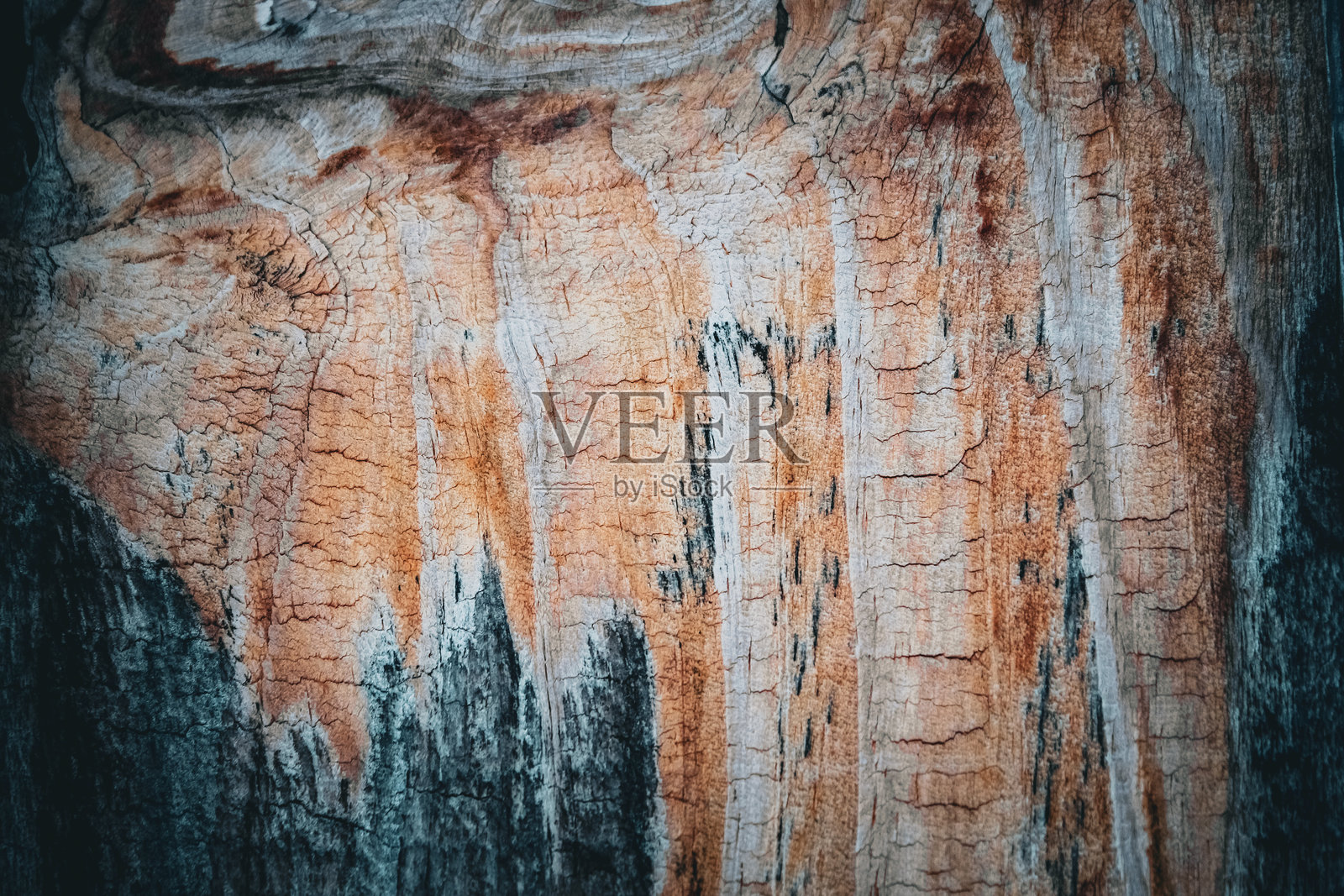 一块陈旧的风化木材,具有纹理、裂缝以及不同深浅的棕色和灰色。照片摄影图片