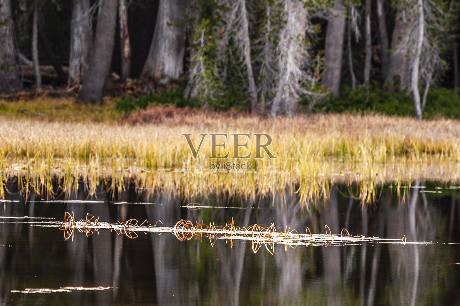 优胜美地国家公园照片摄影图片