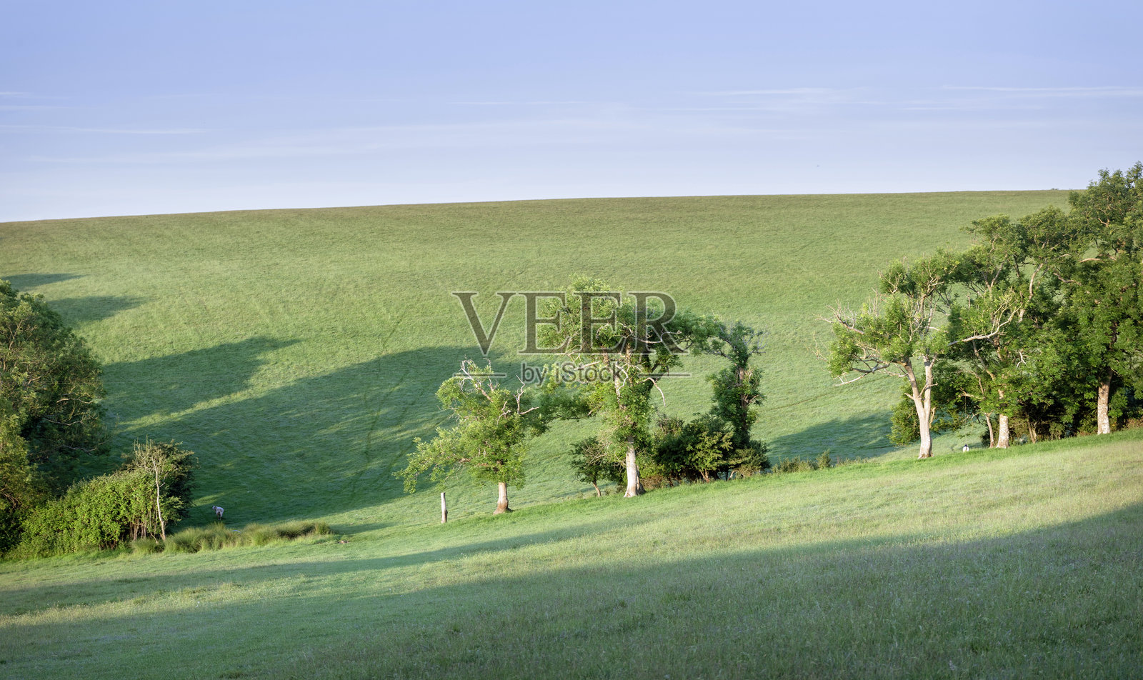 南英格兰南多塞特乡村风景中的草坡和树木照片摄影图片