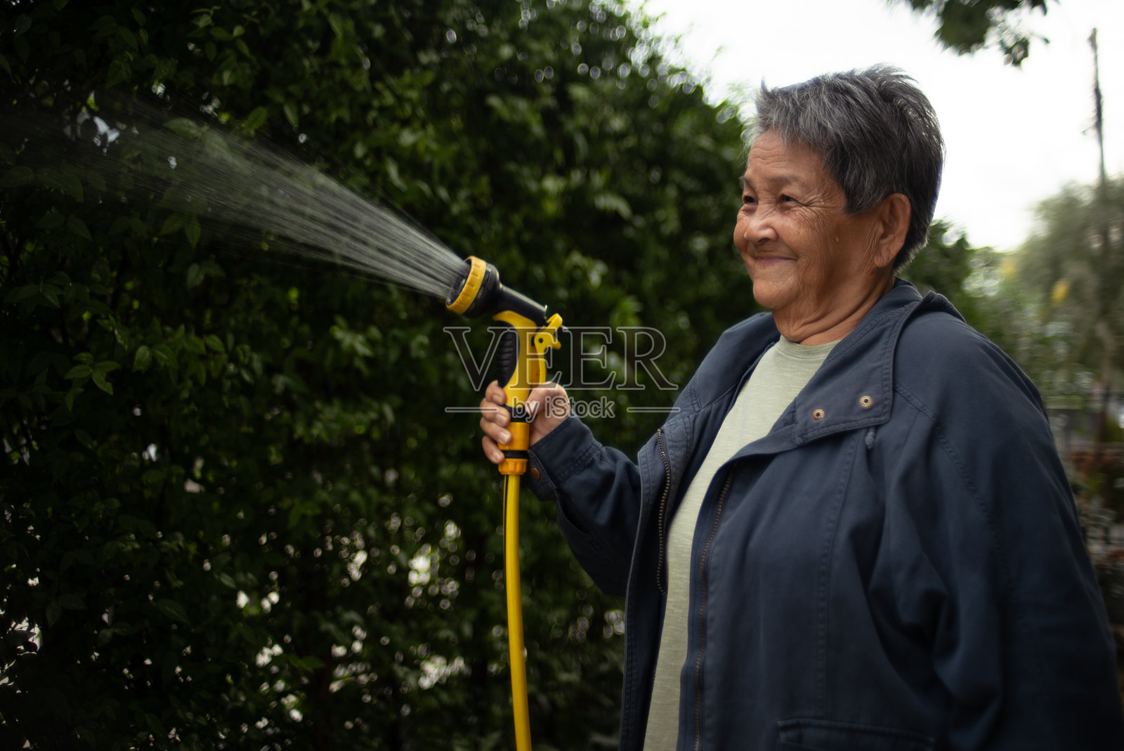 老年女性在浇水植物。照片摄影图片