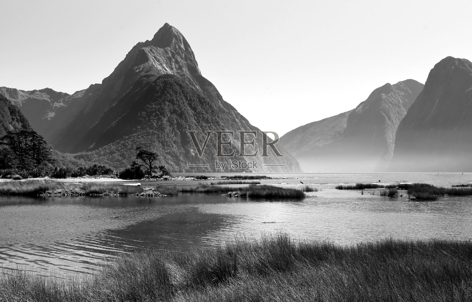 新西兰米尔福德峡湾的黑白图像照片摄影图片