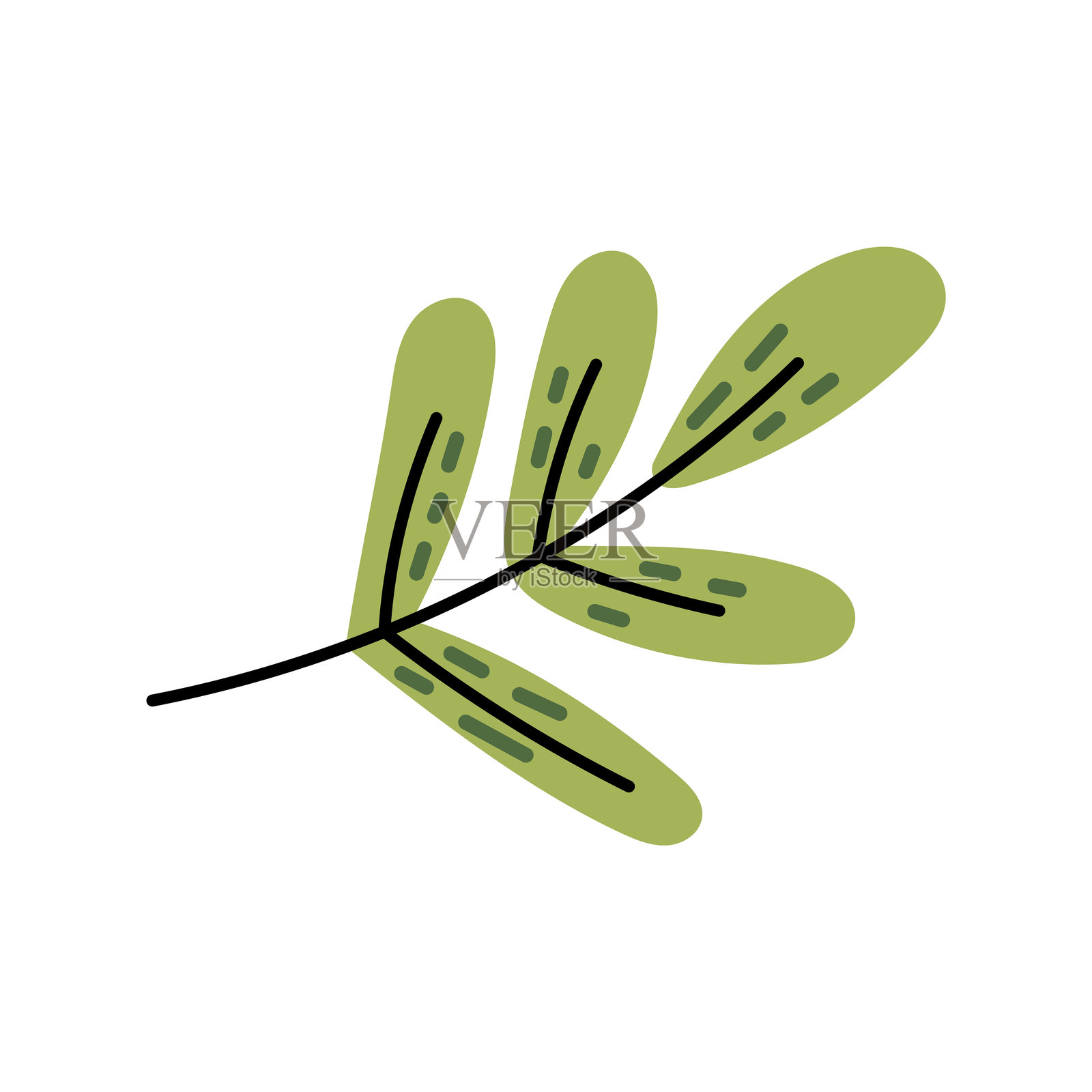 带有绿叶的树枝插画图片素材