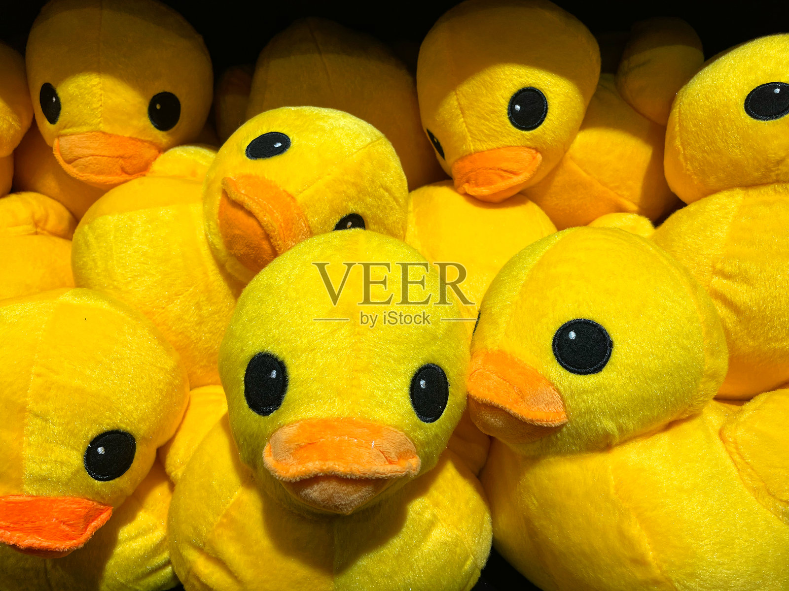 马斯特里赫特橡皮鸭商店内的黄色毛绒鸭特写照片摄影图片