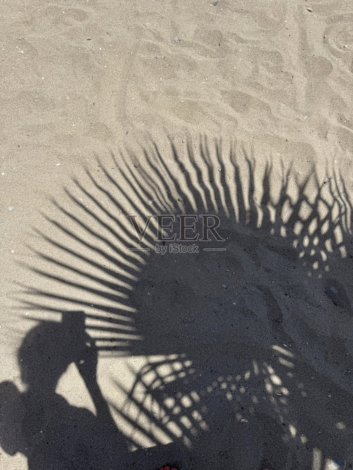 在棕榈树下阴影中自拍的女性剪影。柔和的海滩光线,抽象的表面,自然的优雅。照片摄影图片