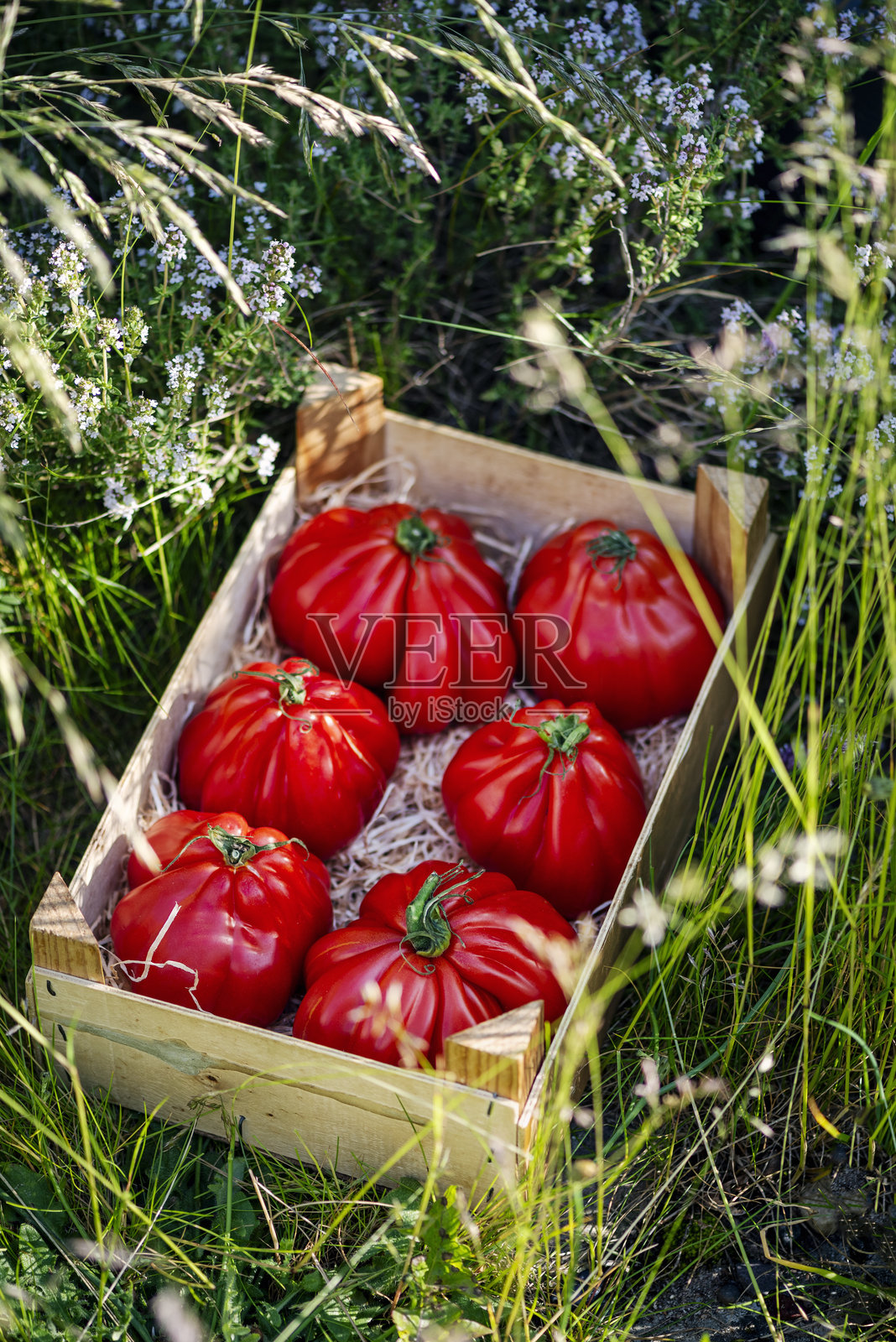 牛排番茄照片摄影图片