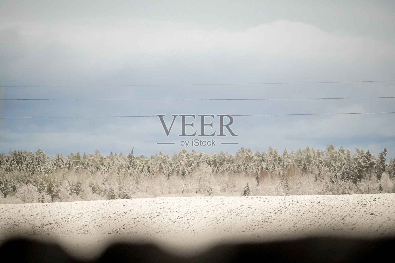 雪-covered的田野和森林照片摄影图片