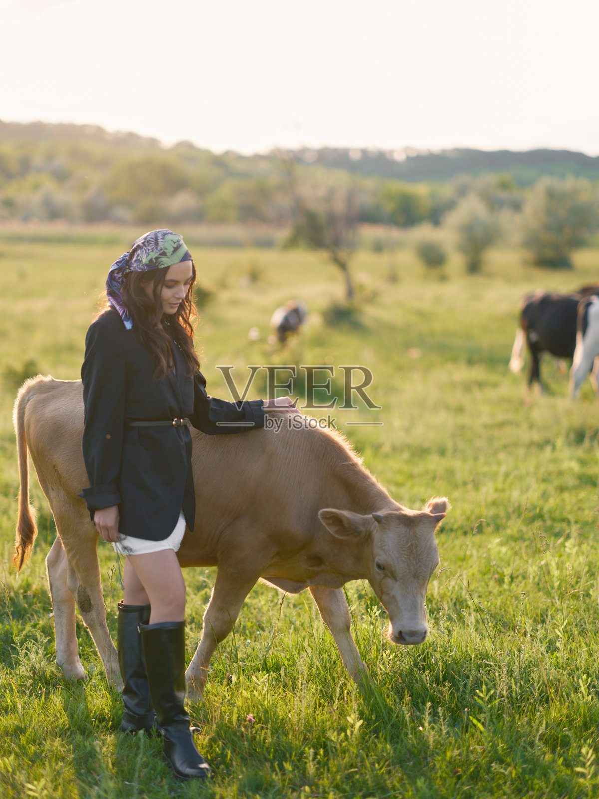 年轻女性在乡村的绿草地上放牧牛群。照片摄影图片