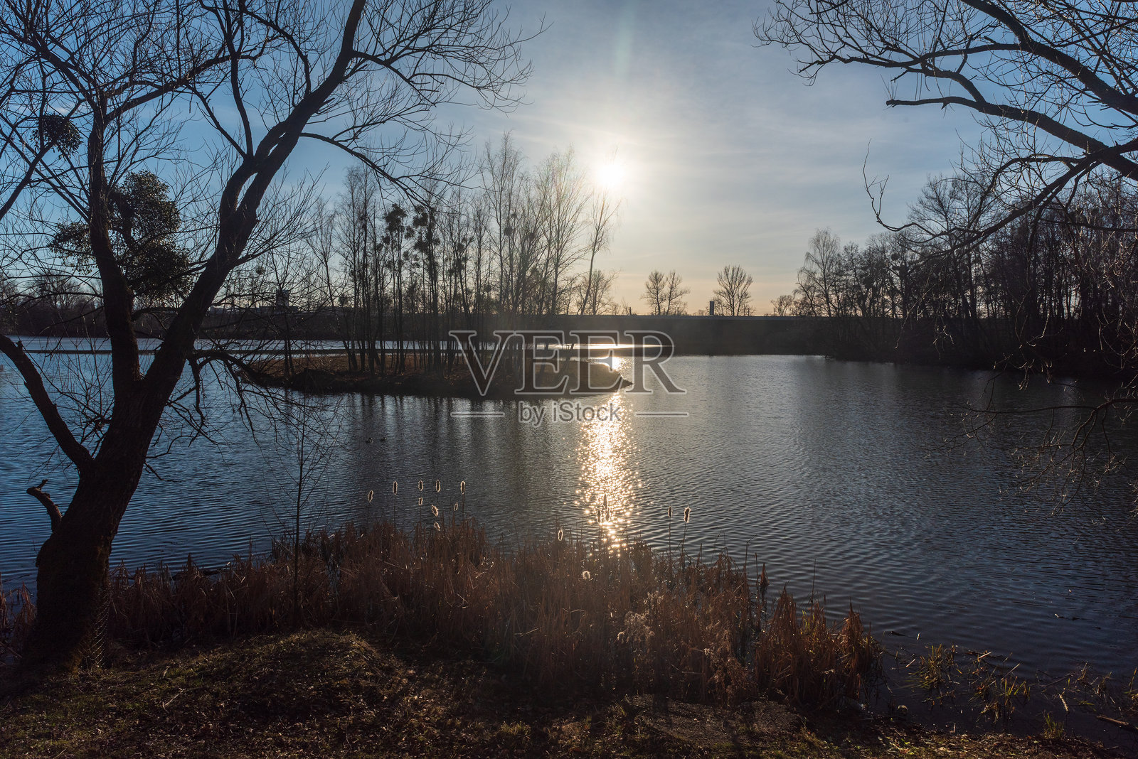 捷克共和国卡尔维纳市博热尼·涅姆佐夫公园的小岛湖泊照片摄影图片