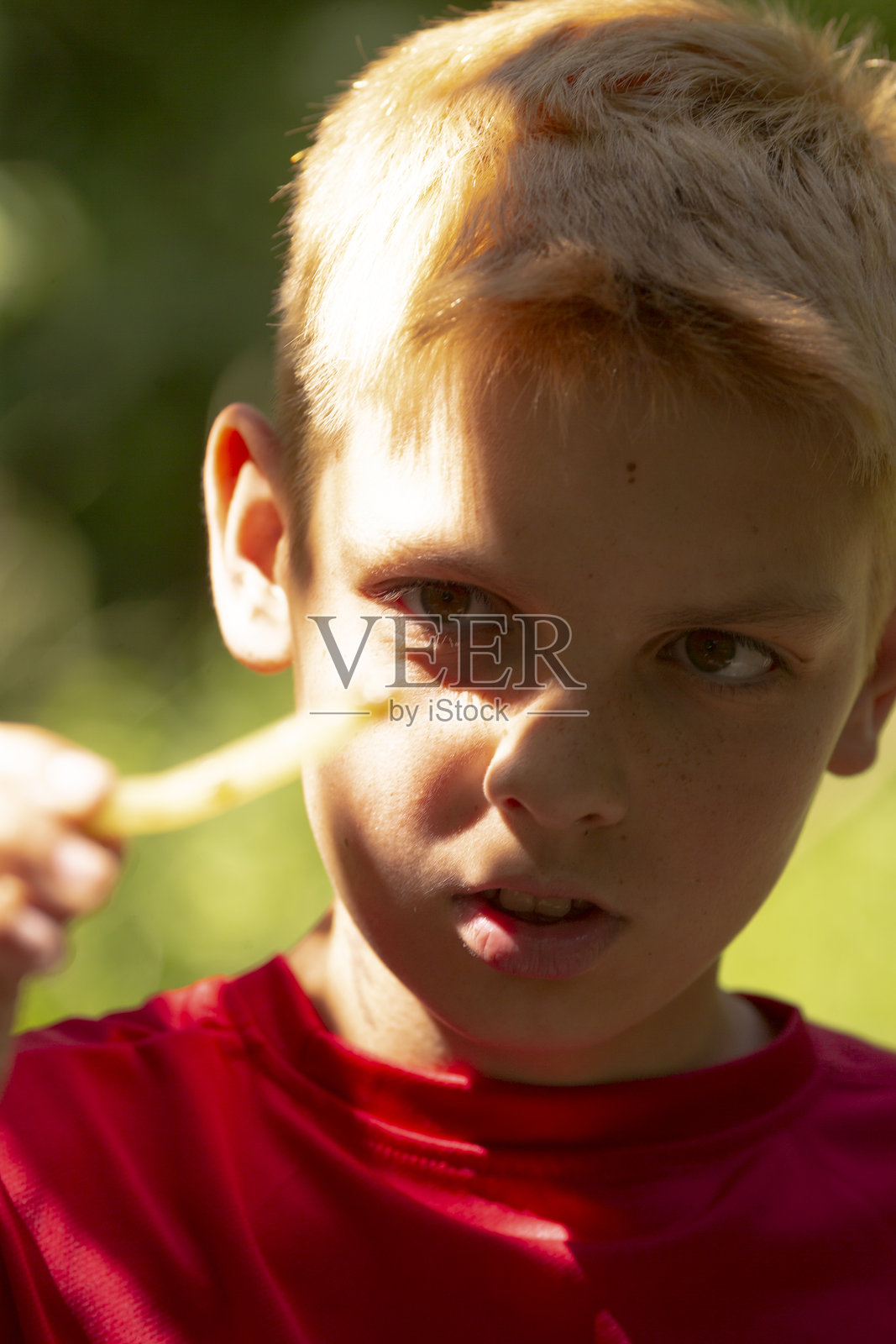 一个穿着鲜红色衬衫的小男孩正在享受吃薯条。照片摄影图片