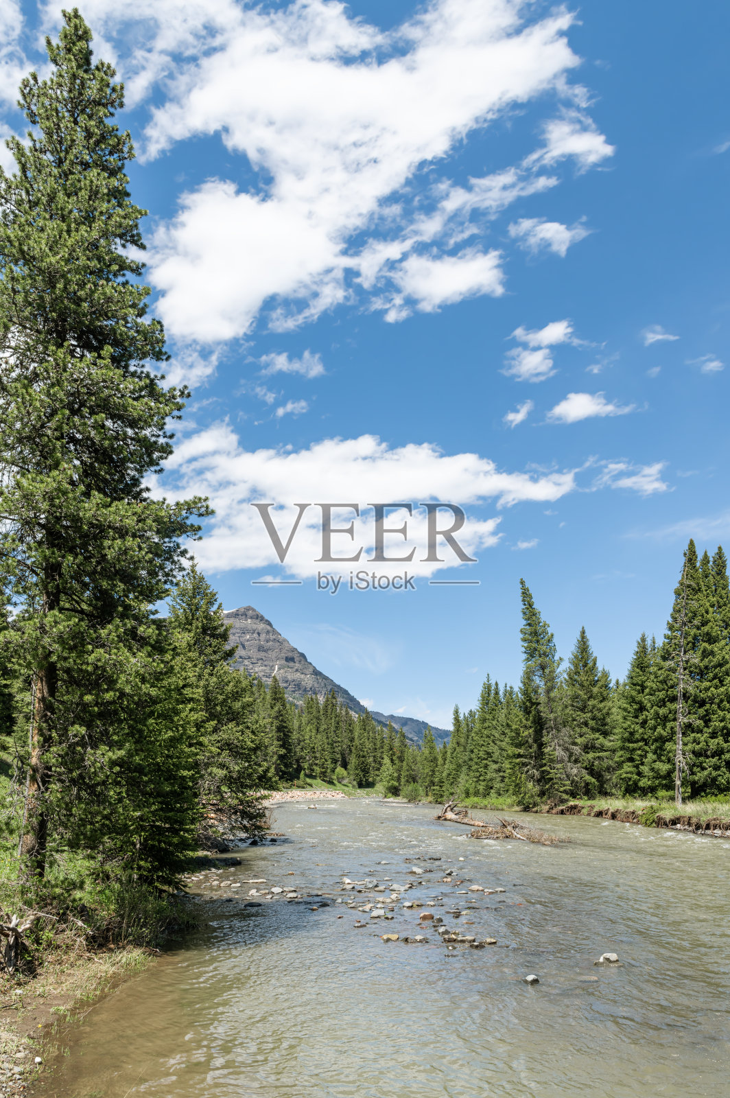 美国怀俄明州黄石国家公园拉马谷的拉马河照片摄影图片