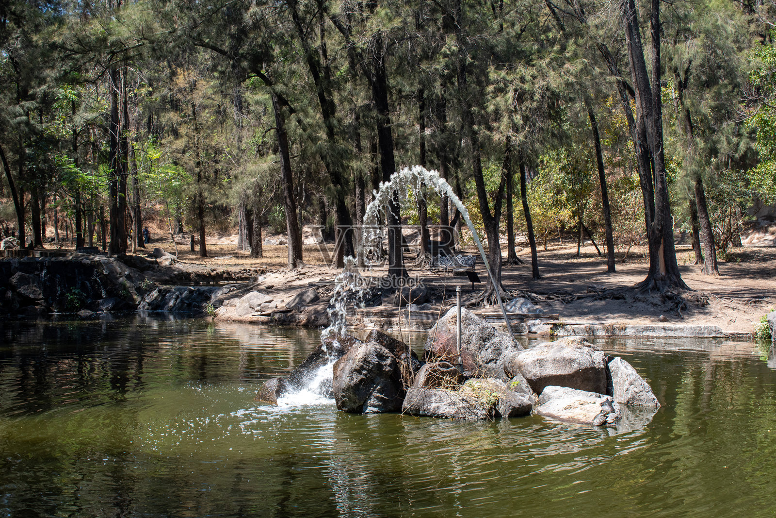 科洛莫斯森林(Guadalajara)森林池塘中的岩石水拱喷泉照片摄影图片