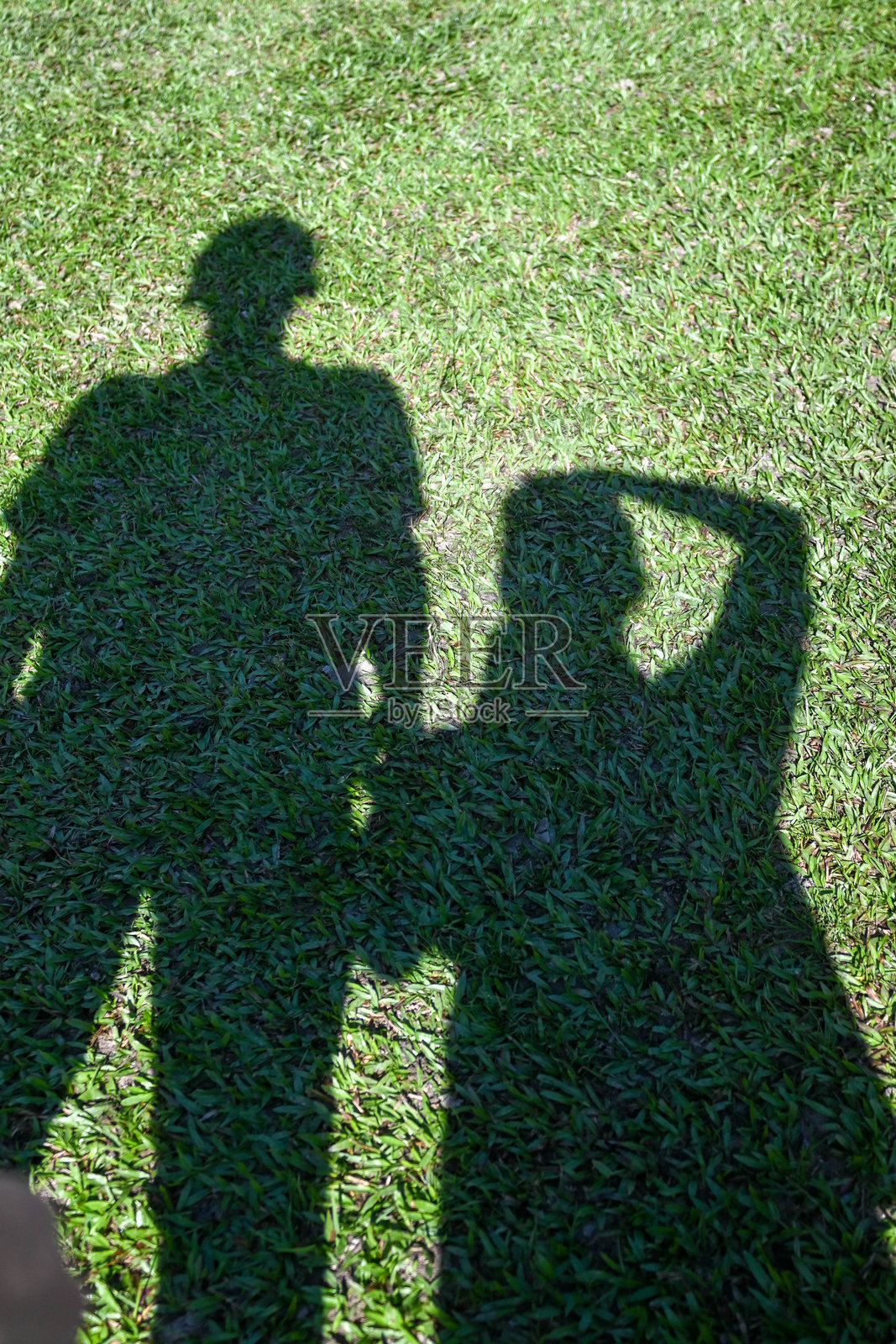 阳光对比:明亮草坪上的黑暗阴影照片摄影图片