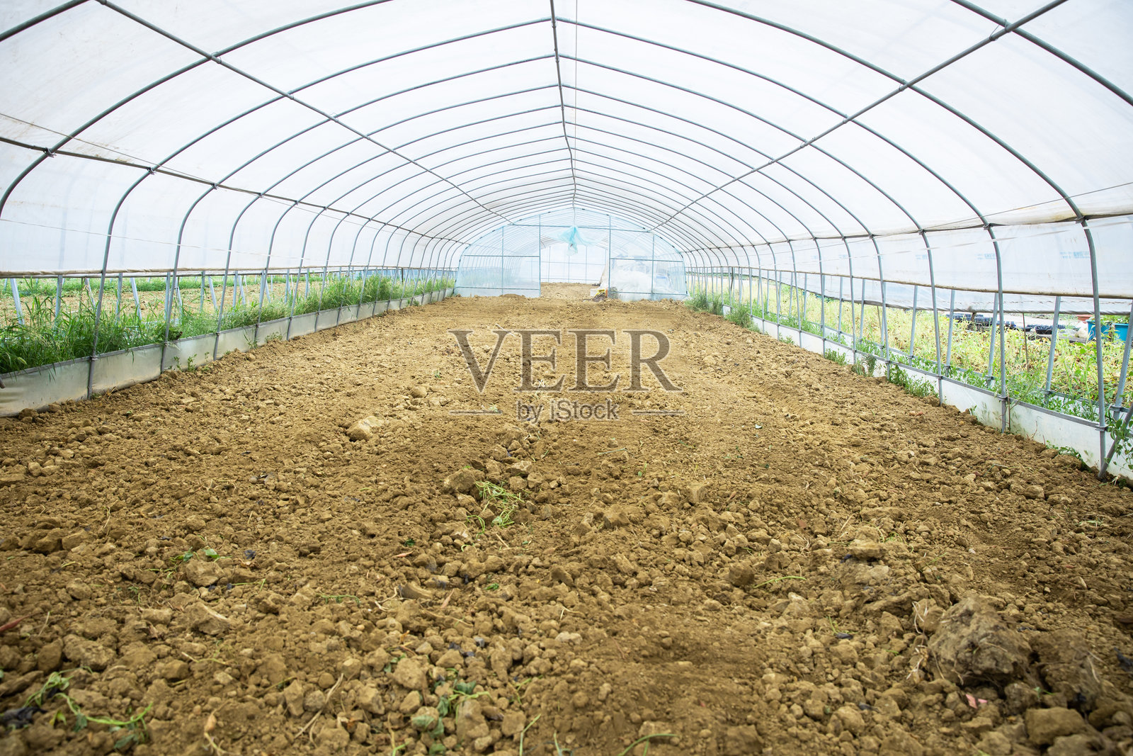 空荡荡的温室照片摄影图片