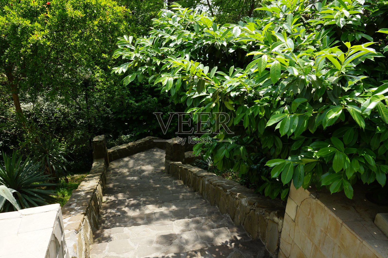 街道建筑城市公园景点绿地的景观照片摄影图片