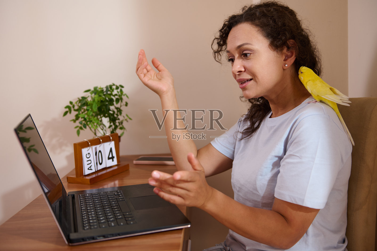 在家办公桌前与鹦鹉一起远程工作的女性照片摄影图片