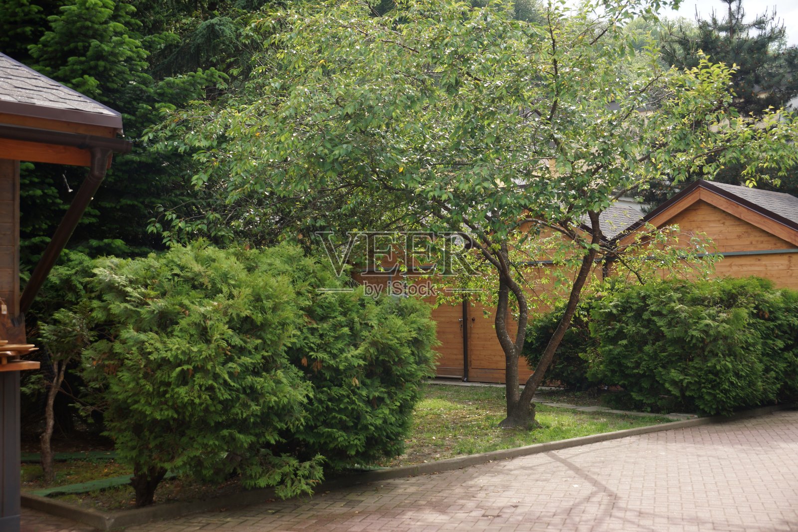 街道建筑城市公园景点绿地的景观照片摄影图片