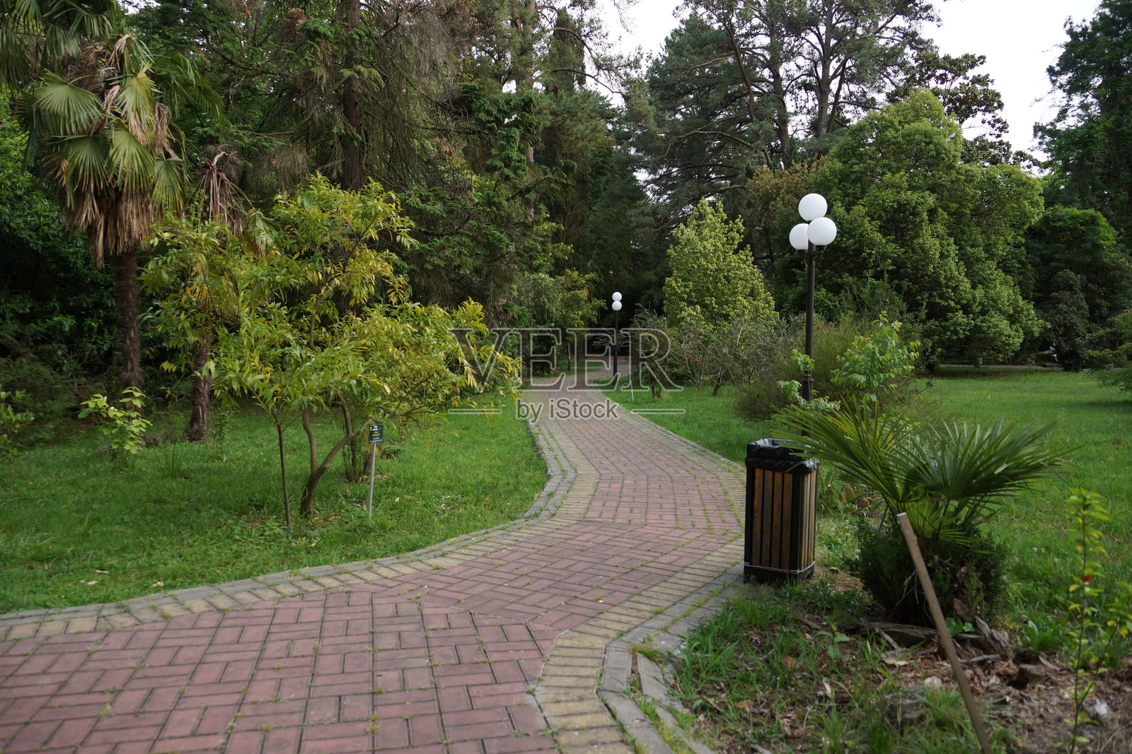 城市公园景点的街道建筑景观与绿地照片摄影图片