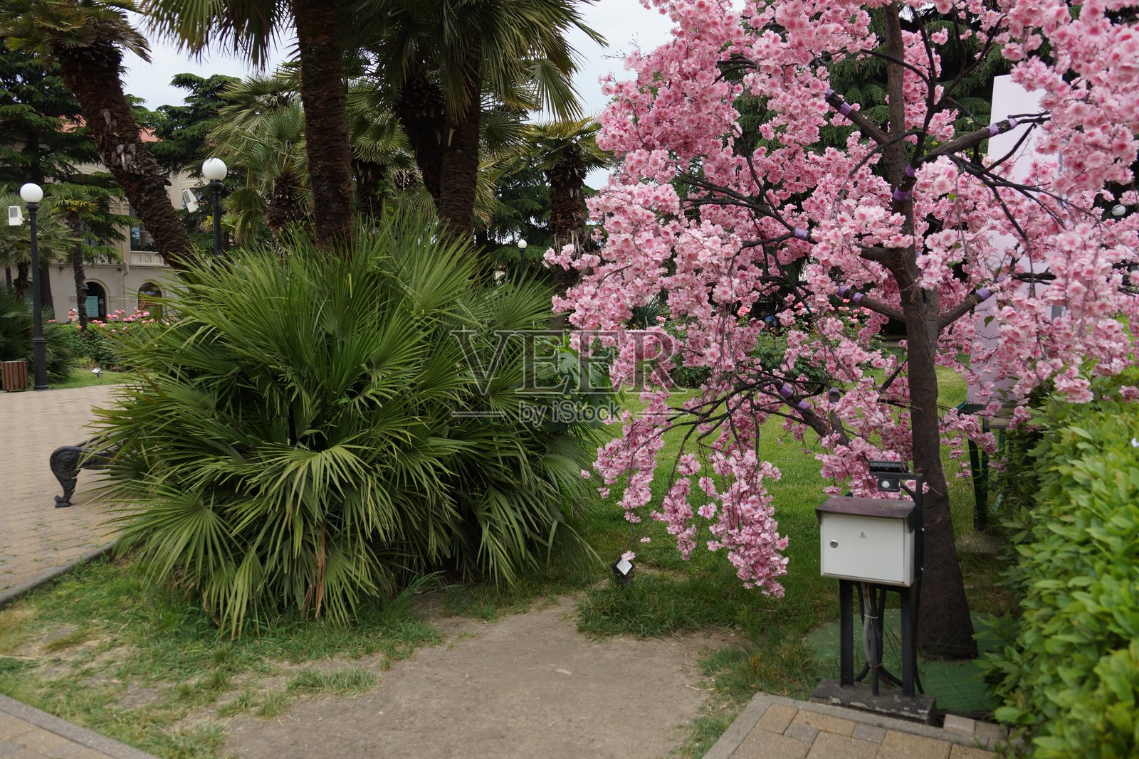 城市公园景点的街道建筑景观与绿地照片摄影图片
