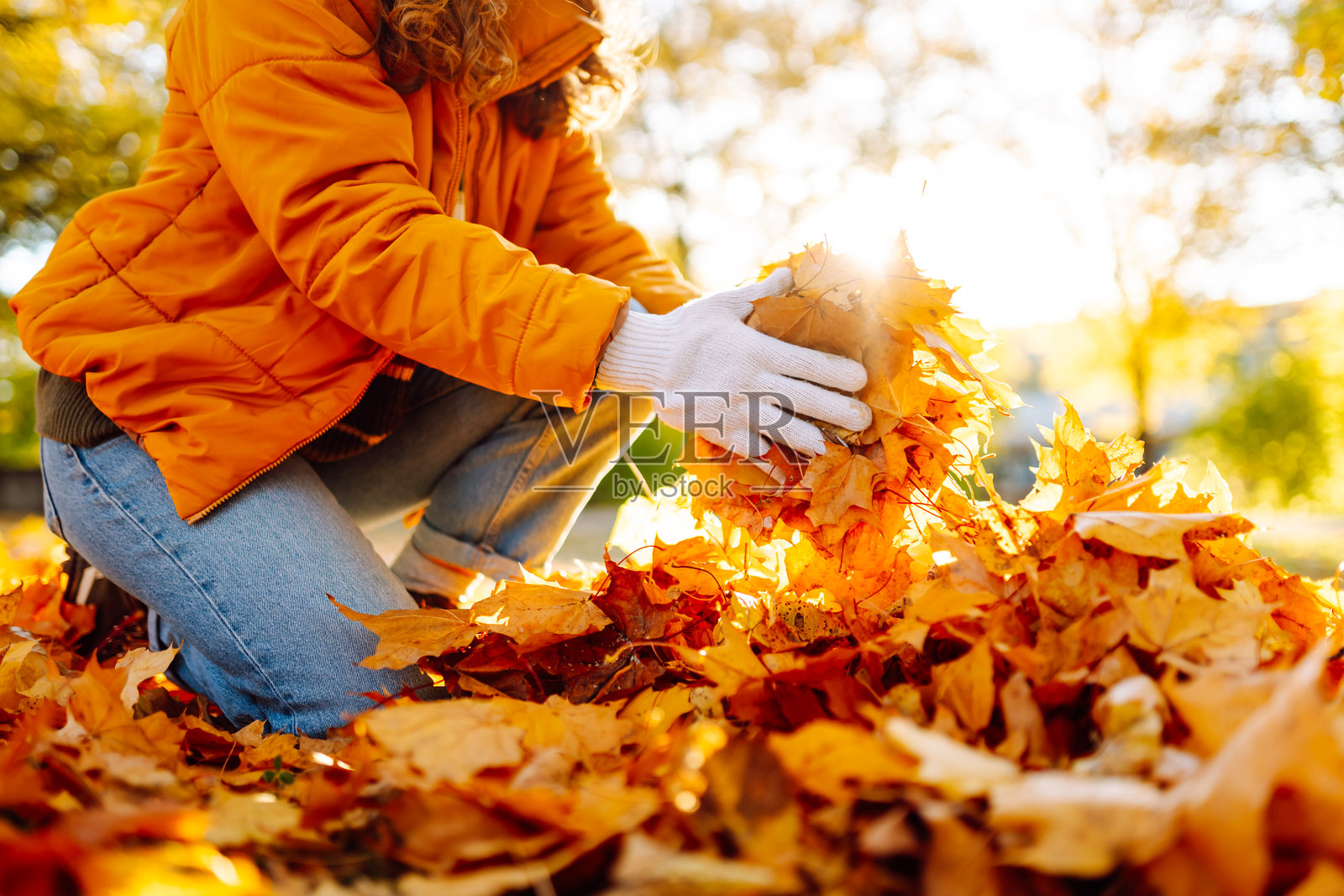 一位穿着橙色夹克和手套的女性志愿者在阳光明媚的日子里近距离收集鲜艳的树叶。照片摄影图片