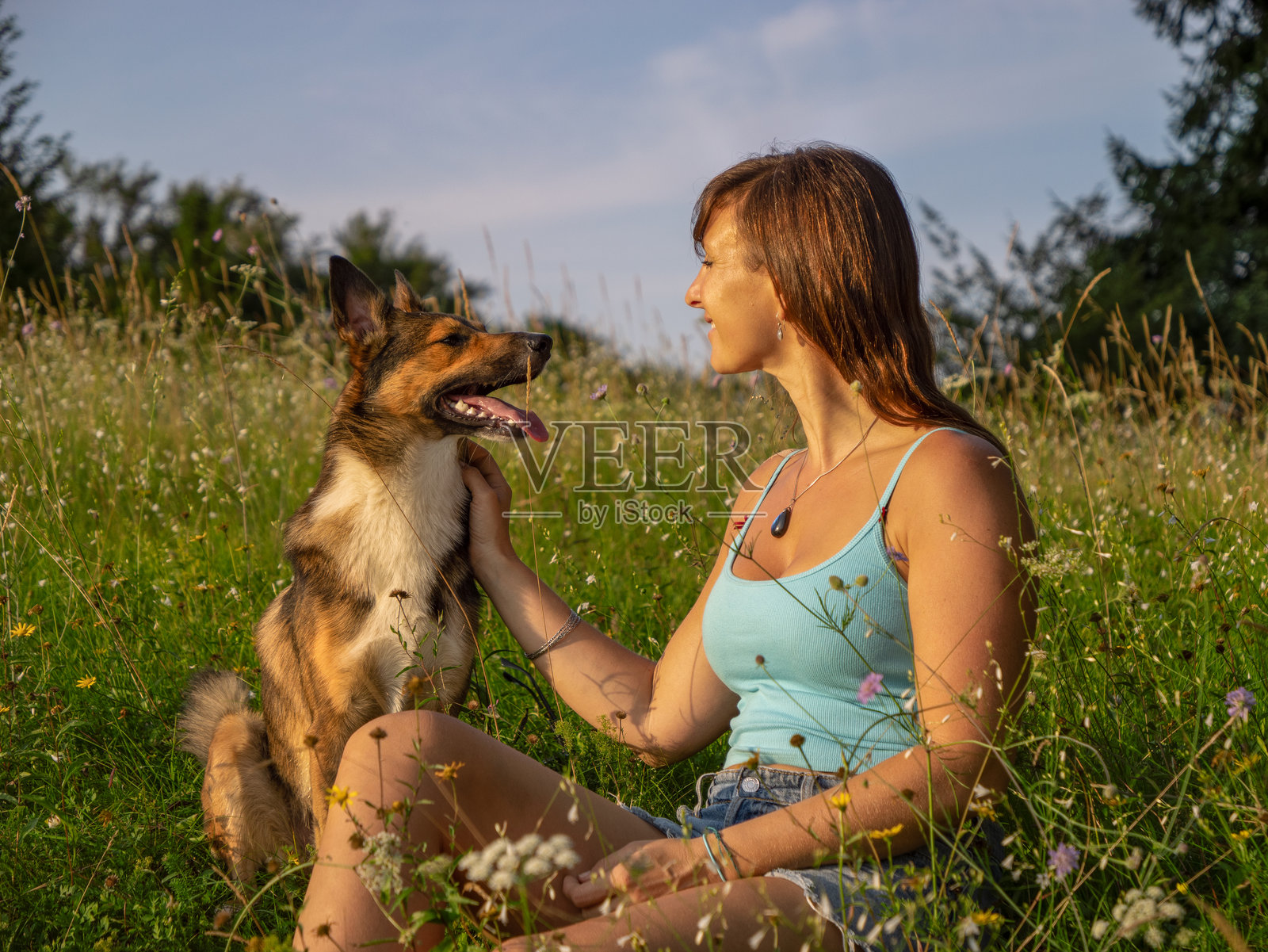肖像:微笑的狗主人坐在阳光明媚的草地上,轻柔地抚摸着她快乐的狗狗照片摄影图片