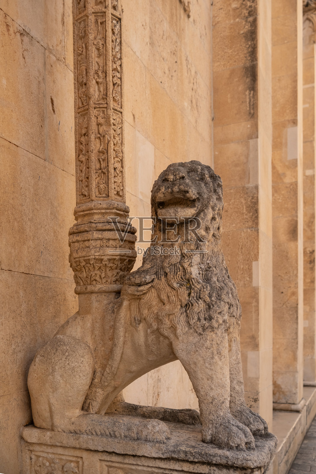 雄伟的石狮雕塑守卫在希贝尼克圣雅各大教堂的入口处照片摄影图片