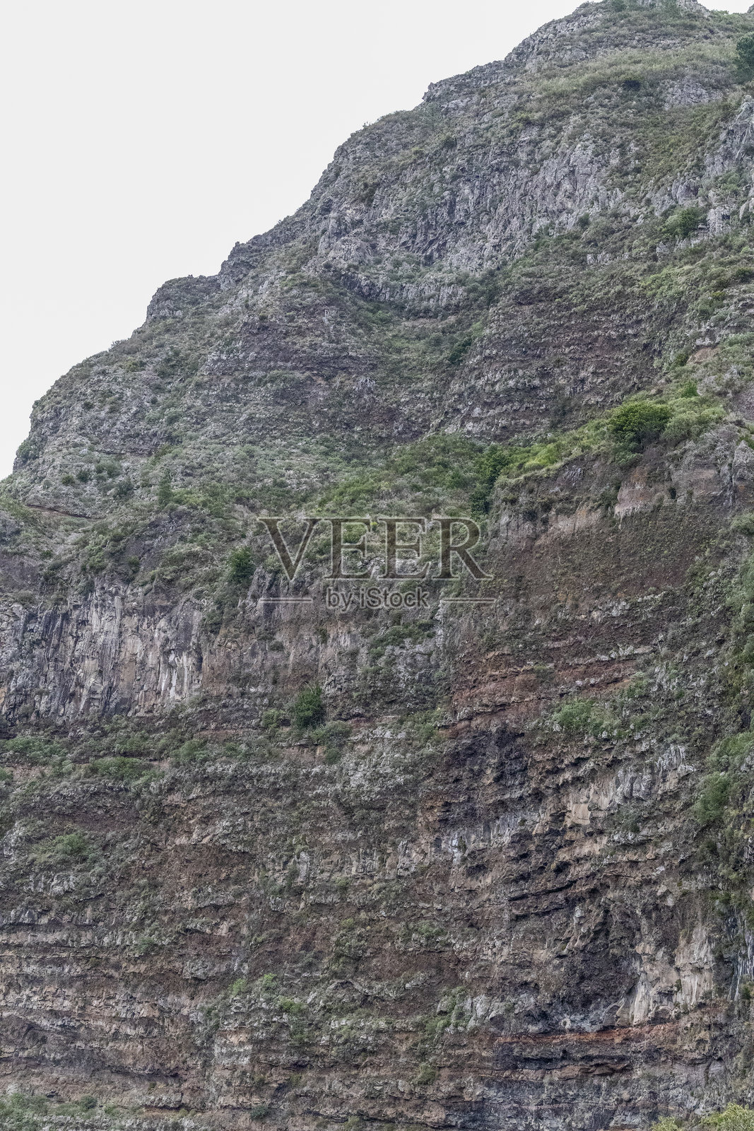 马德拉照片摄影图片