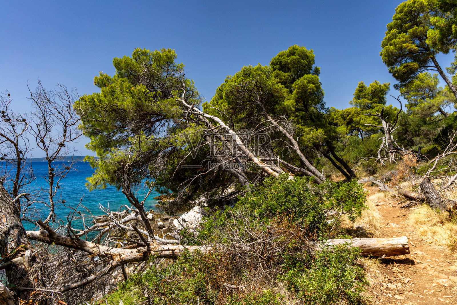 通往奇奥沃岛维拉和马拉德拉加野生海滩的小径照片摄影图片