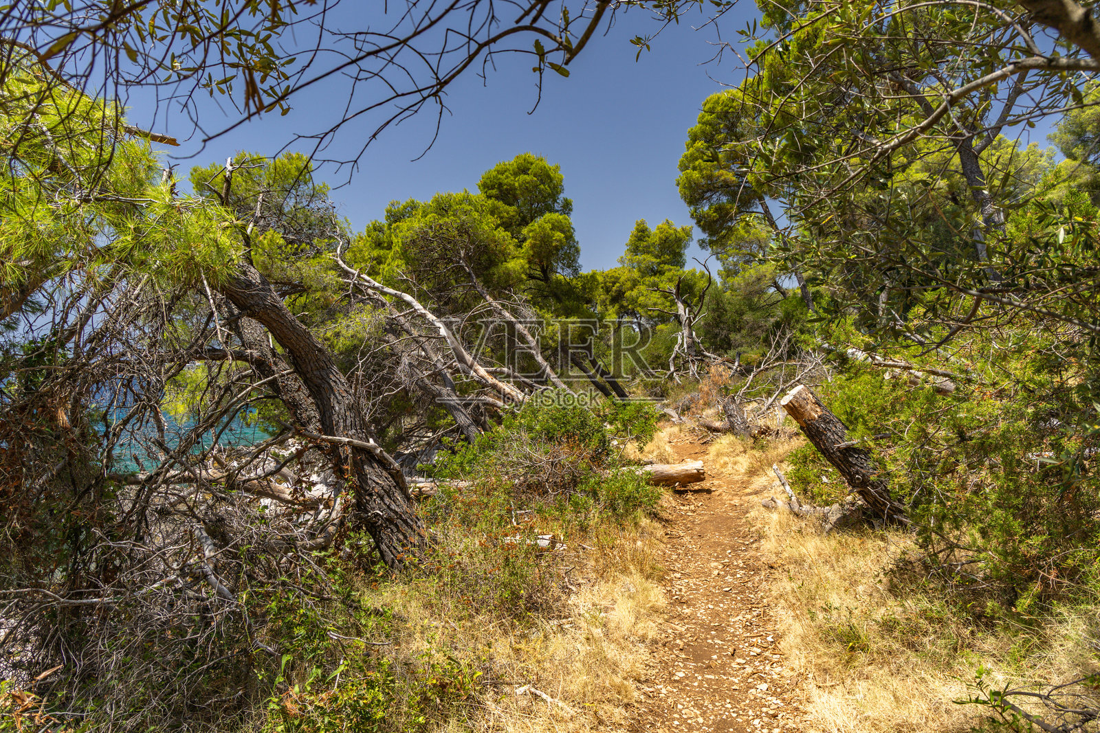 通往奇奥沃岛维拉和马拉德拉加野生海滩的小径照片摄影图片