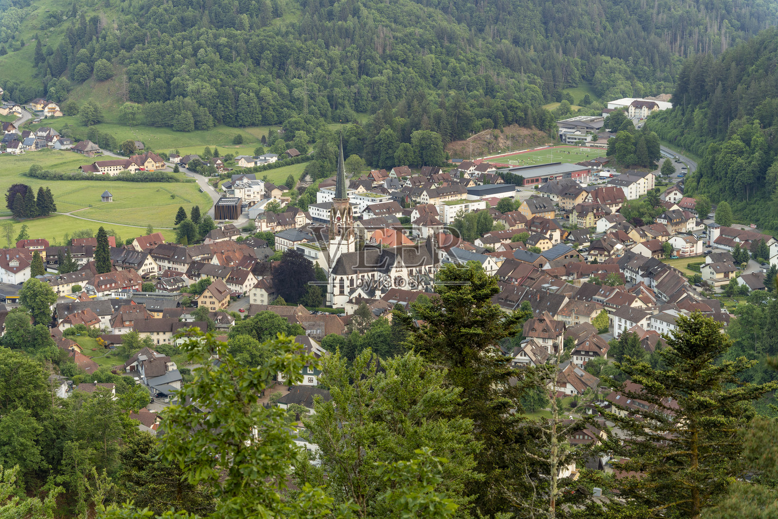 黑森林的舍农附近照片摄影图片