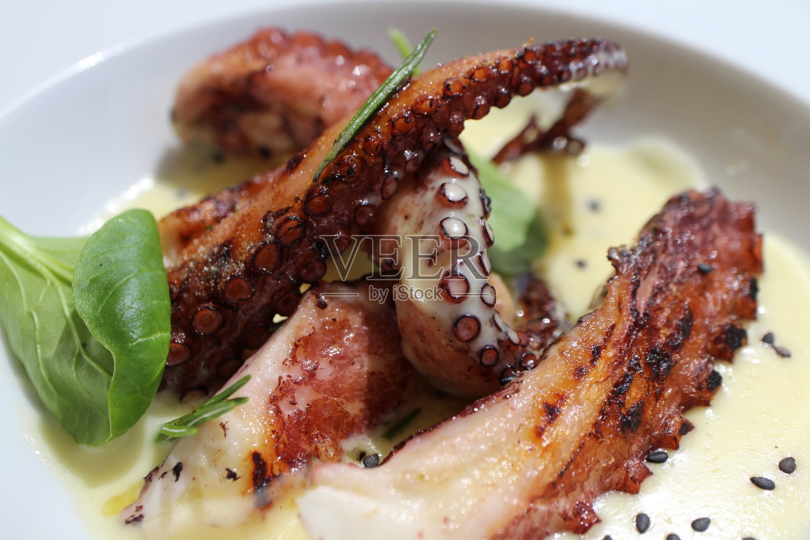 意大利美食:意大利穆拉诺的烤章鱼配土豆奶油酱照片摄影图片