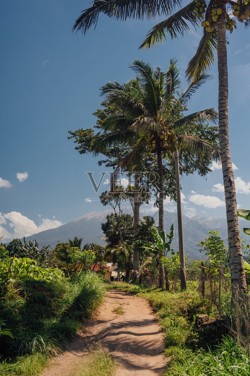 特特巴图的小径,远眺林贾尼山 – 龙目岛照片摄影图片