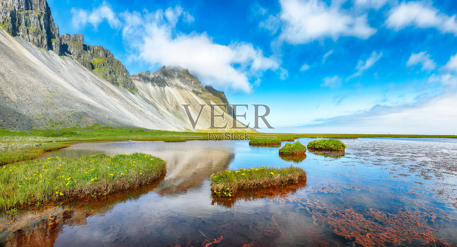 在冰岛斯托克斯内斯角附近的维斯特拉霍恩山脚下,阳光明媚的日子和美丽的草地。照片摄影图片
