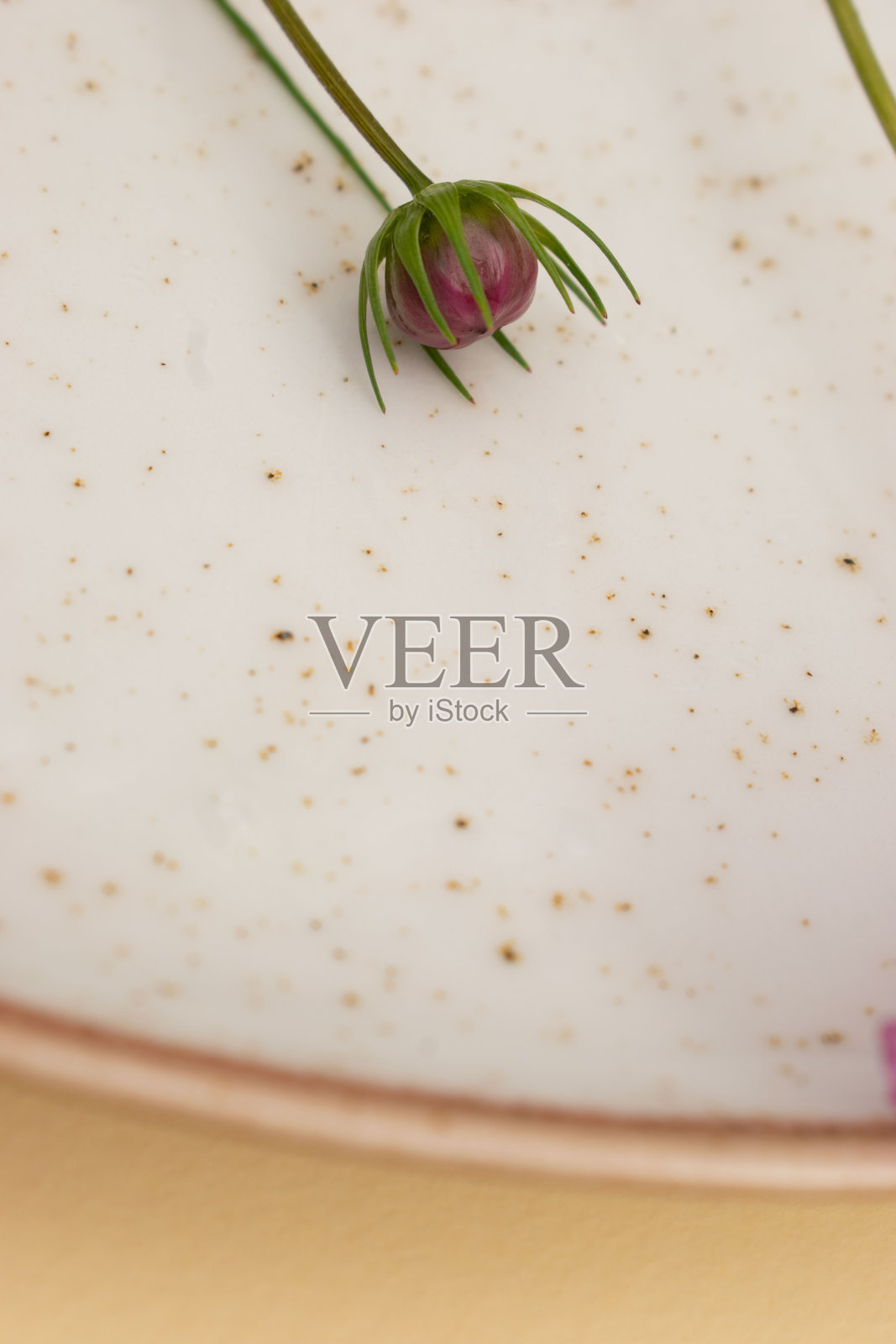 极简风格的紫红色花朵放在白色盘子上照片摄影图片