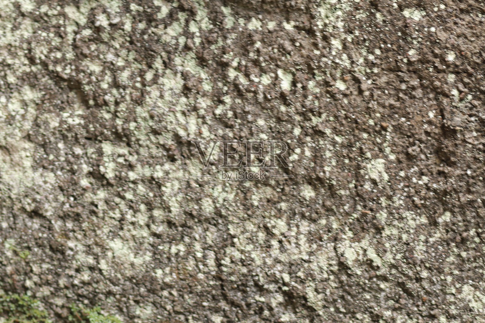 城市中一面房屋的墙壁图片照片摄影图片