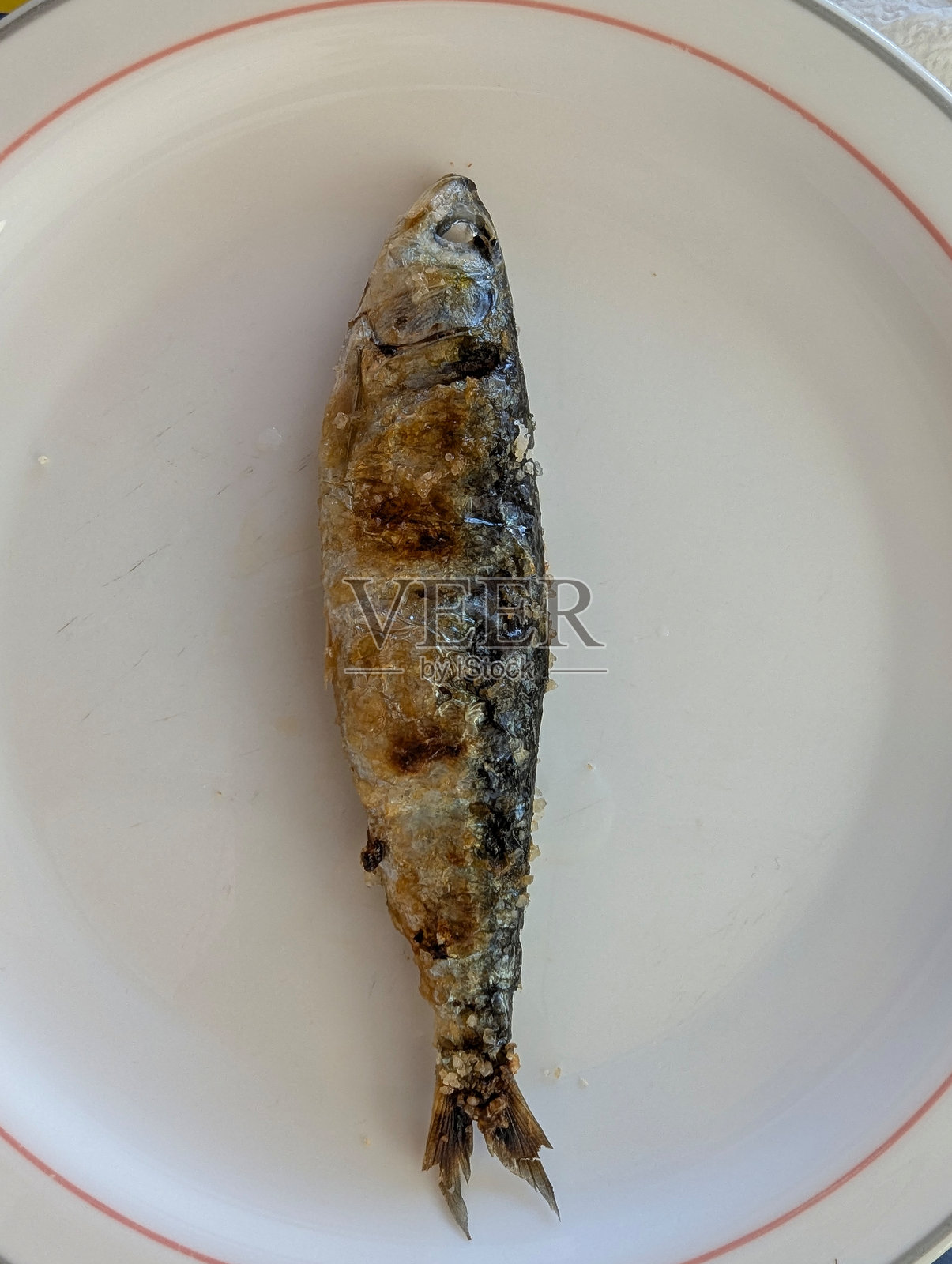 从上方看到的盘子里的烤沙丁鱼,葡萄牙佩尼什照片摄影图片