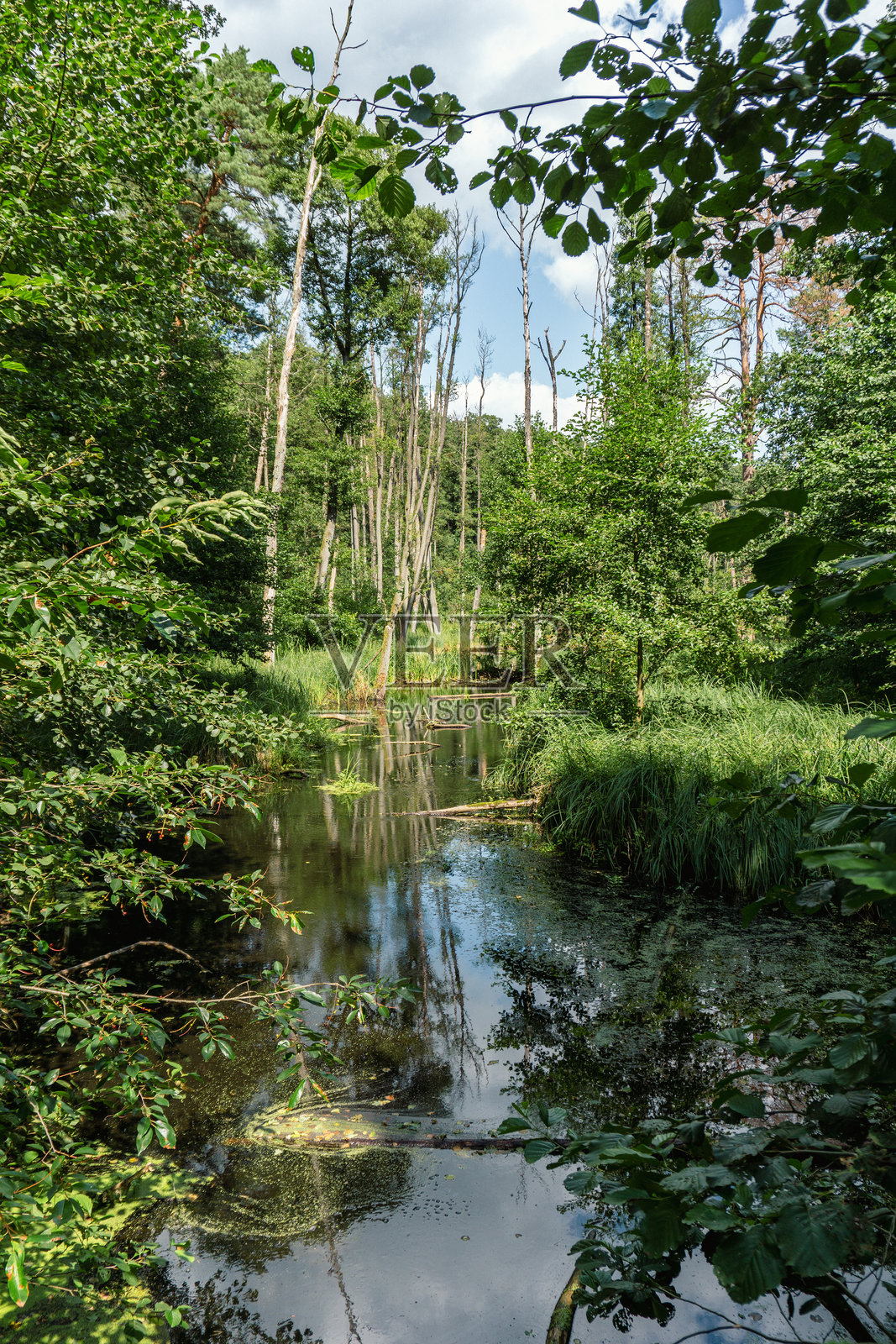 布兰登堡州布里塞塔尔的田园风光,风景保护区照片摄影图片