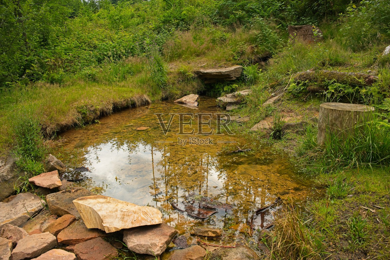 德国梅斯佩尔布伦附近的埃尔萨瓦克泉照片摄影图片