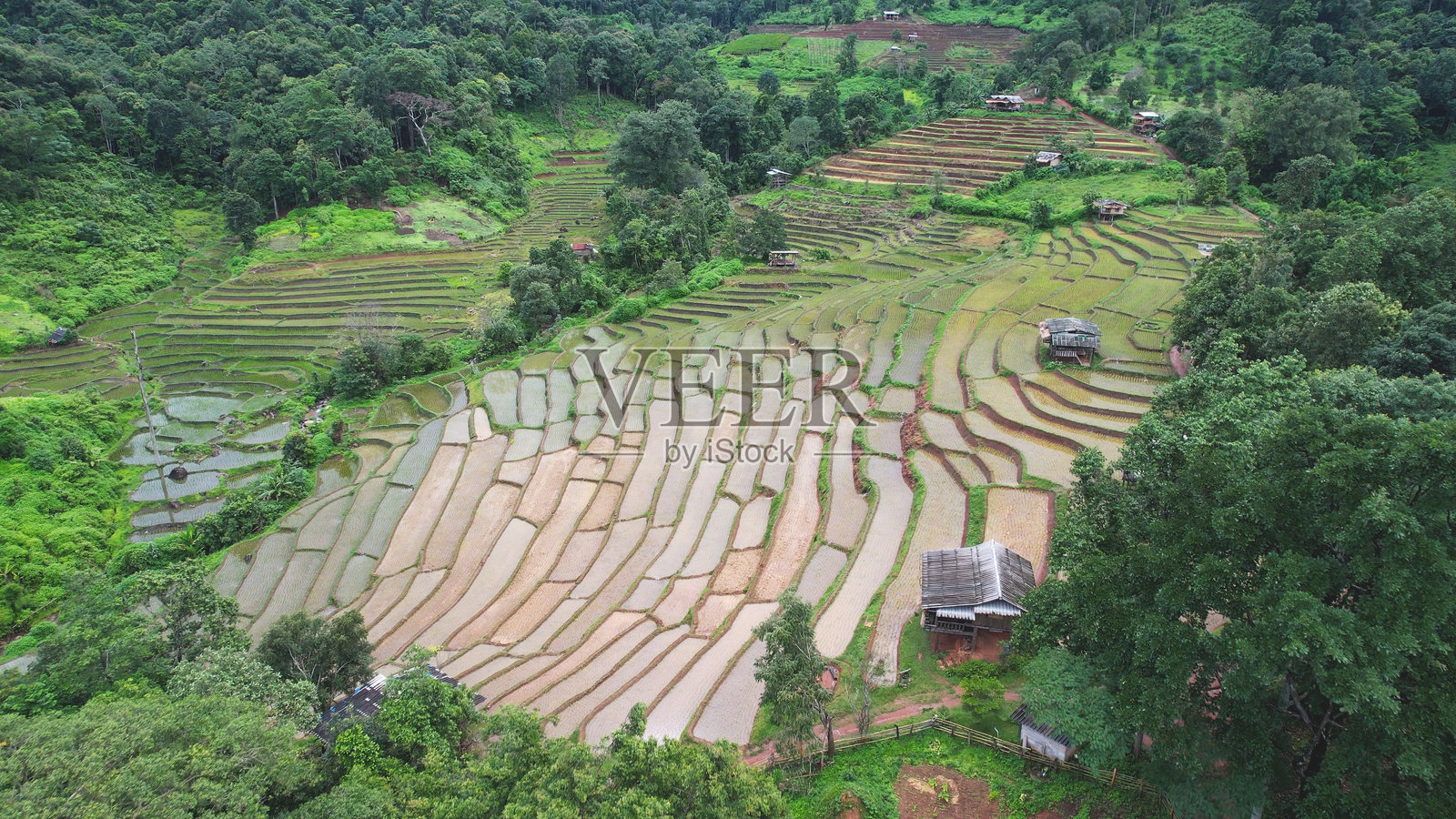 稻田梯田和山景的空中风景视图照片摄影图片