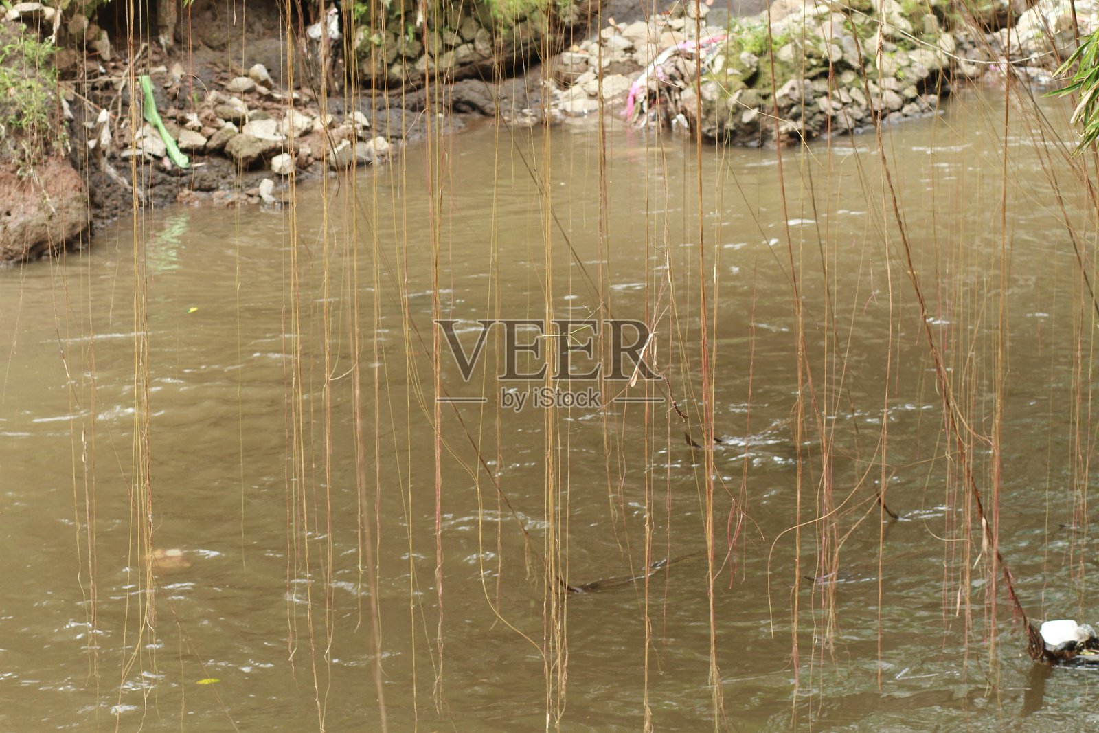 河里垃圾的图片照片摄影图片