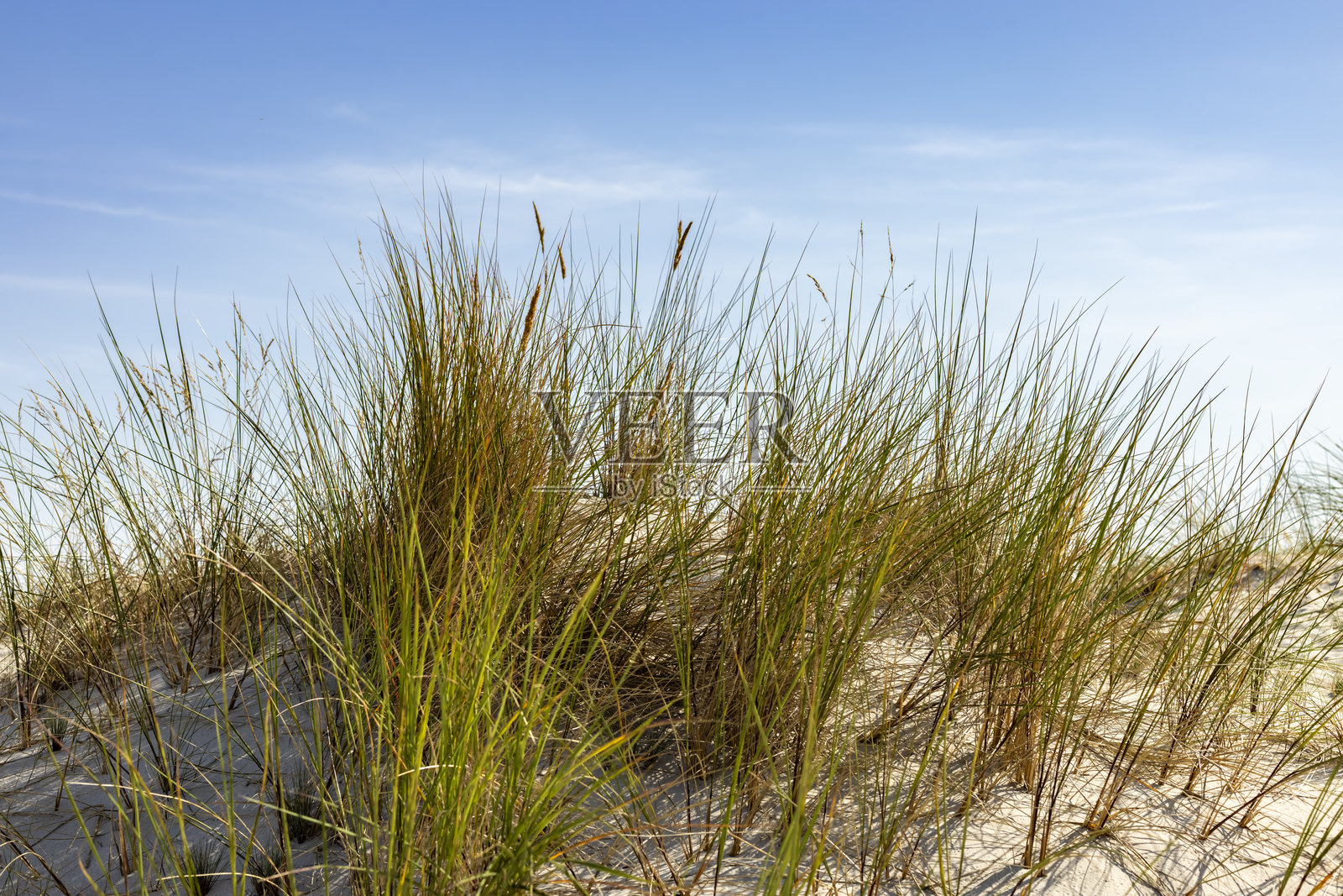 沙丘照片摄影图片