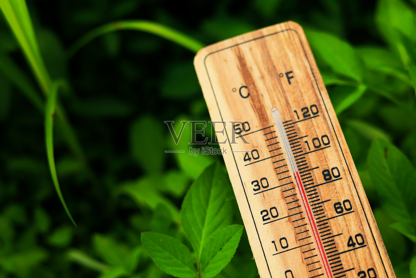 木制温度计。照片摄影图片