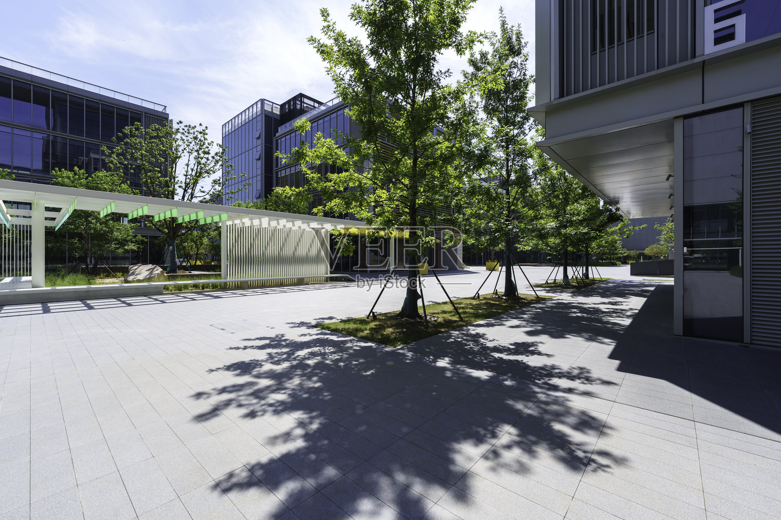 城市公园中的空旷道路照片摄影图片