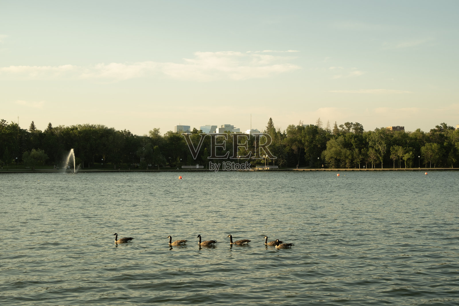 草原夏季照片摄影图片