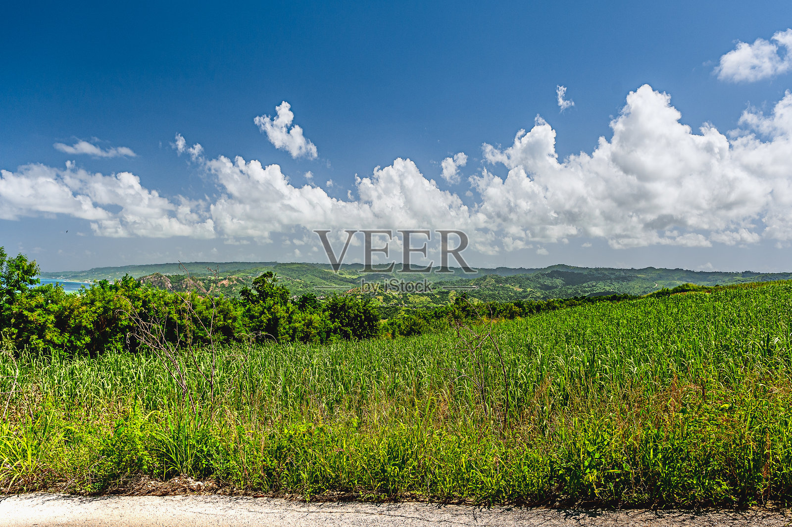 美丽的巴巴多斯海岸线照片摄影图片