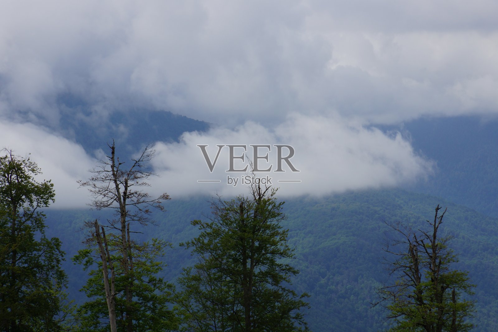 云层覆盖下的山景,森林景观照片摄影图片