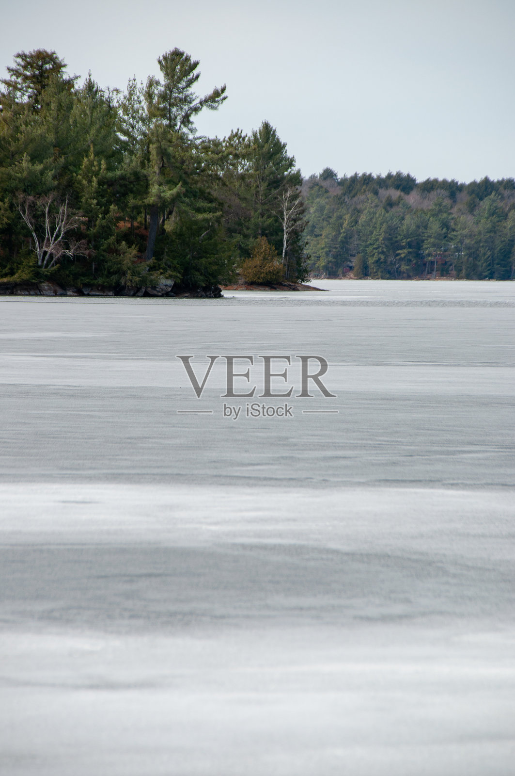 一幅宽幅竖拍的冰冻湖泊与常青森林的景象照片摄影图片
