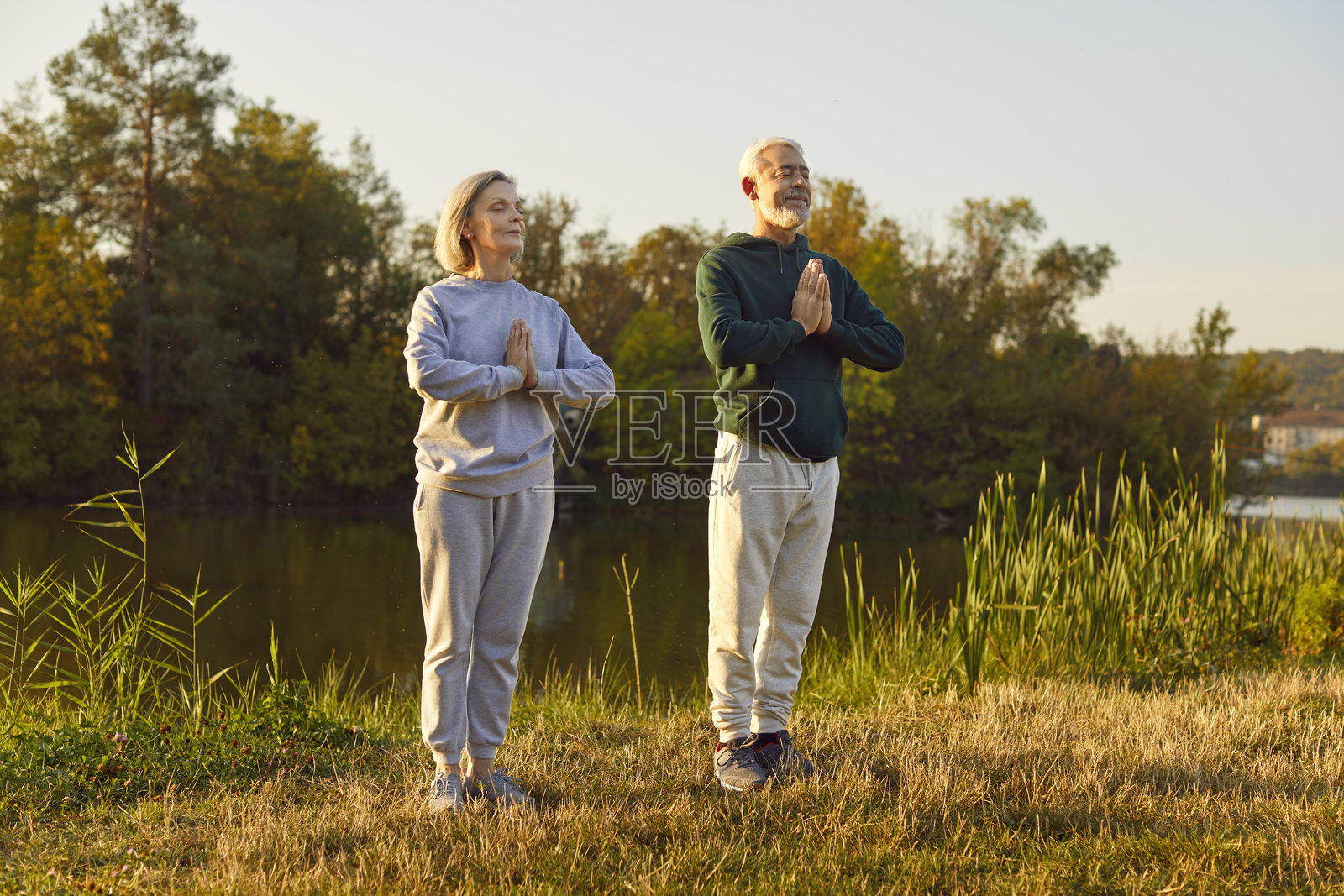 老年人户外瑜伽,练习,成熟的夫妻们在运动课程中锻炼照片摄影图片