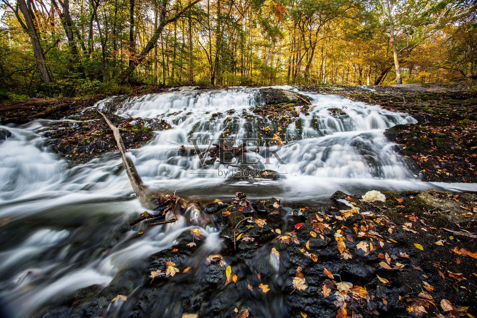 宾夕法尼亚州的黄油奶酪瀑布在秋季,覆盖着落叶照片摄影图片