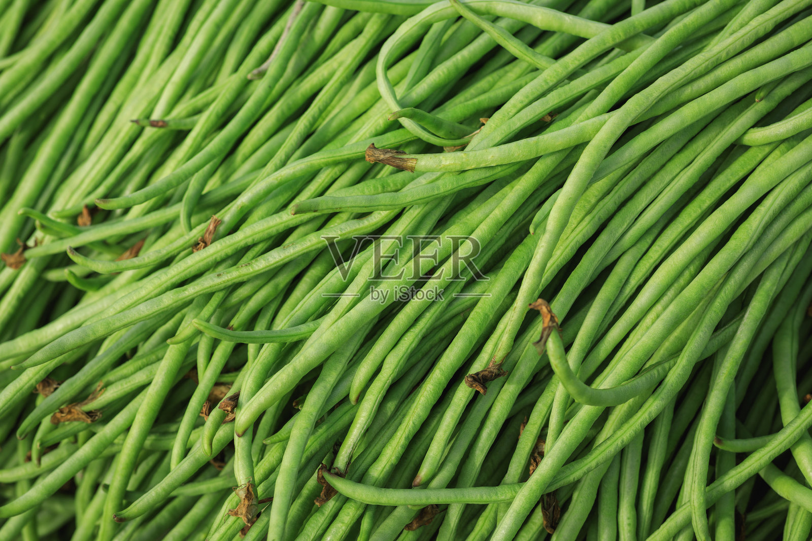 新鲜采摘的长豆出售照片摄影图片